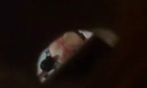 Птици проститутки в бдсм клипове мокри